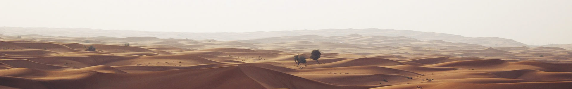 ɽؾó޹˾